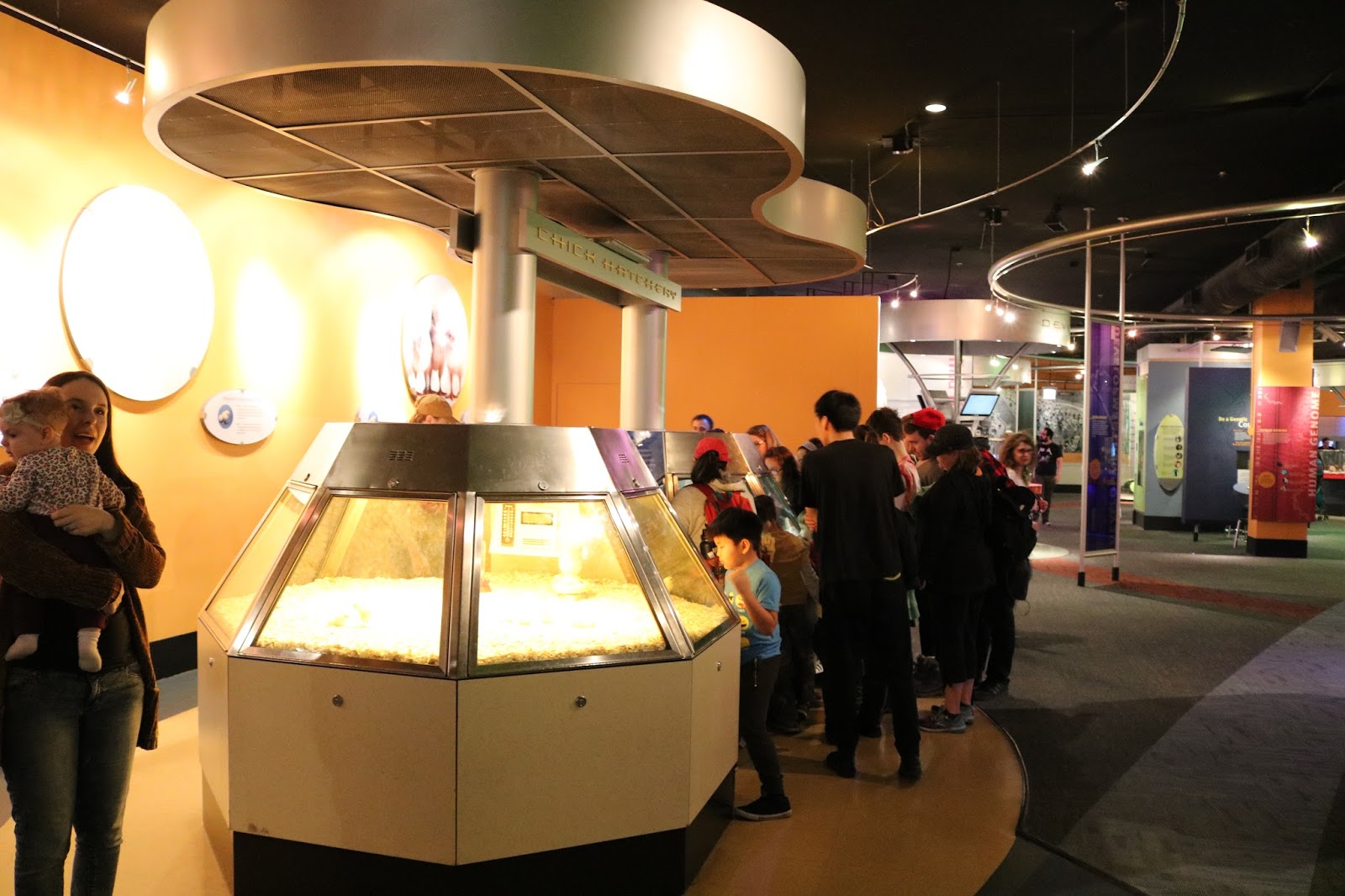 Amy's Creative Pursuits Chicago Museum Of Science and Industry