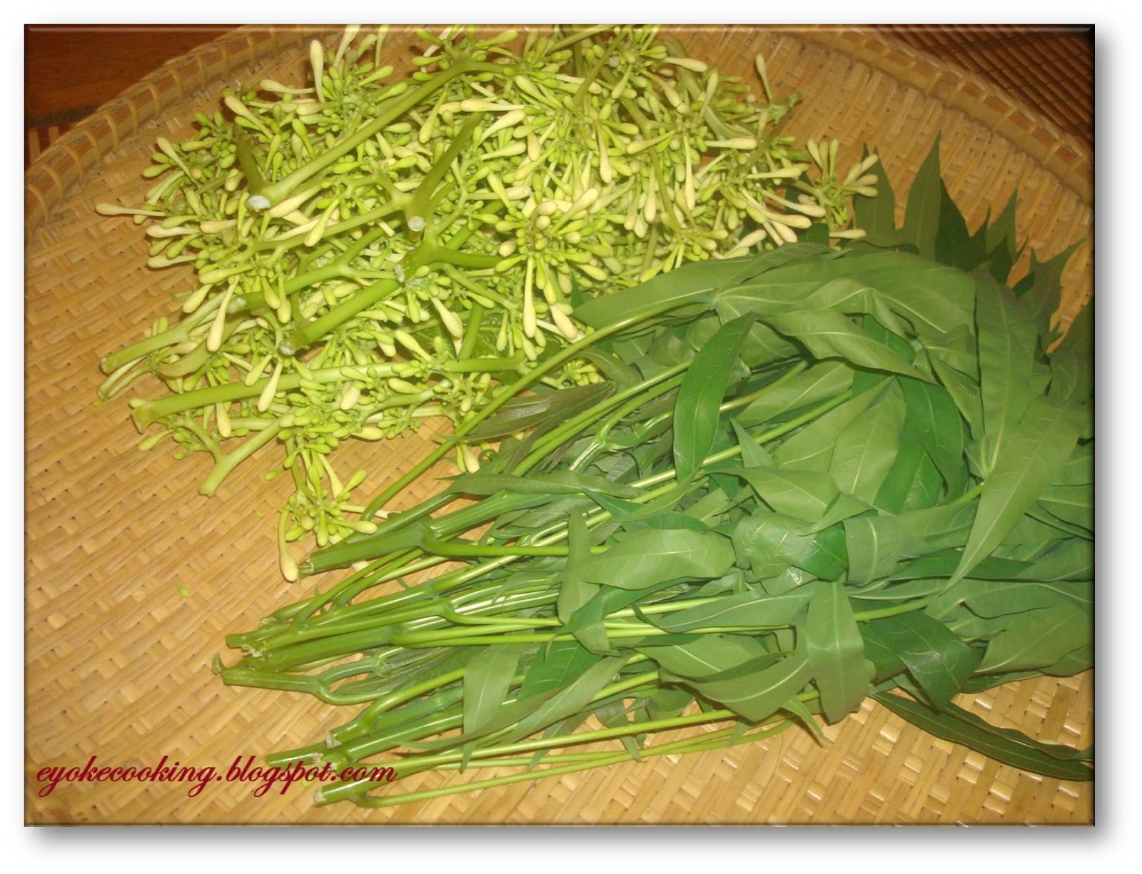 Simply Delicious Easy Cooking Stirfry Papaya Flower with Cassava Leaf