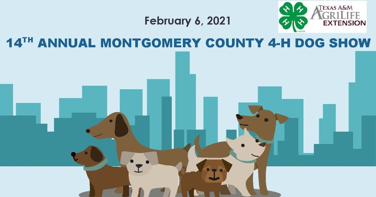 Comal County 4H News ARCHIVE Montgomery County 4H Dog Show