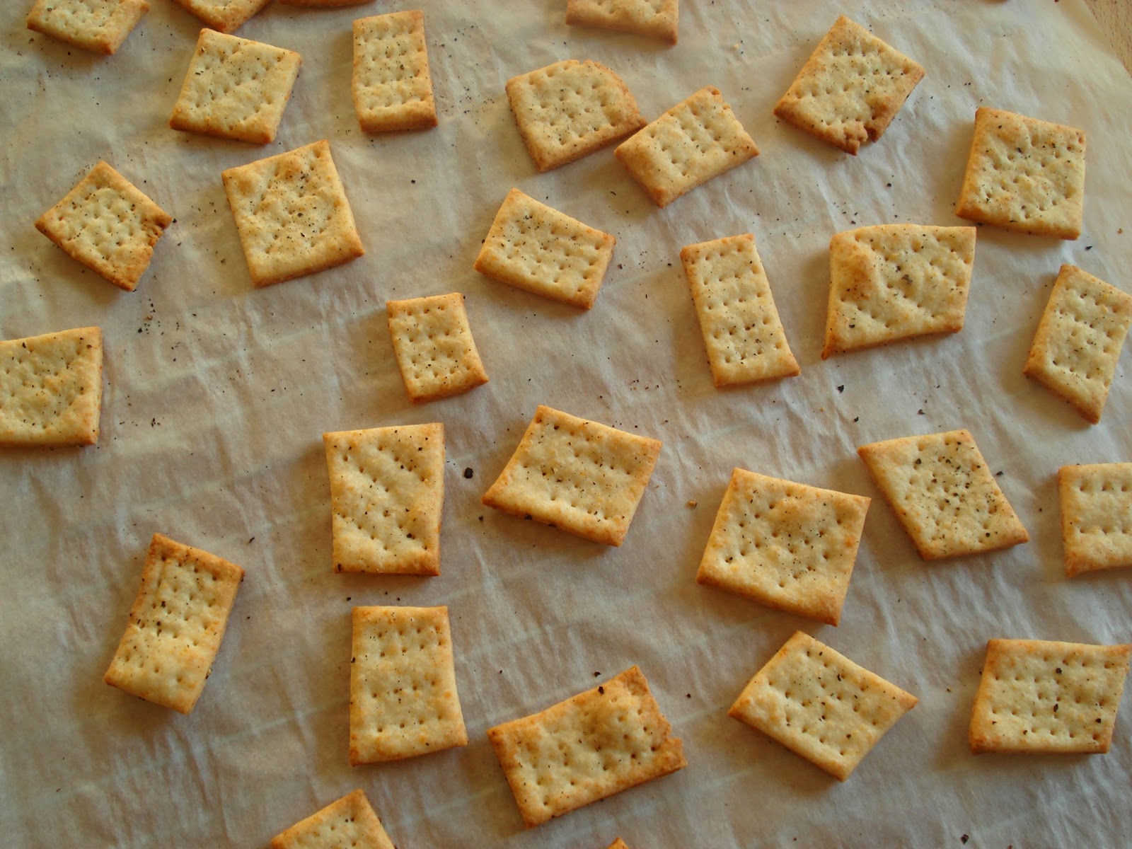 My Big Green Cookbook: Parmesan and Cheddar Crackers