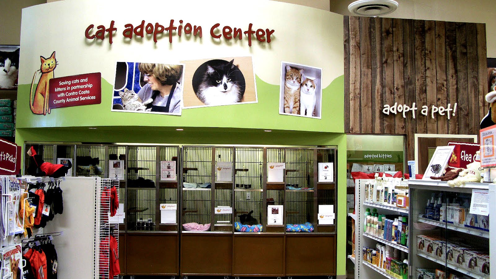 Pet Food Express Dog Dog Choices