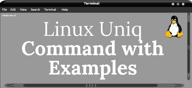 Uniq Command, Linux Tutorial and Material, Linux Study Materials, Linux Online Guides, LPI Study Materials