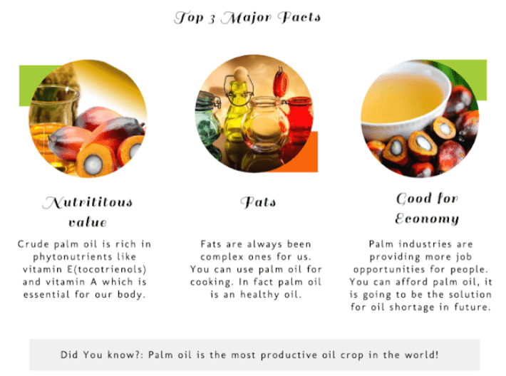 Palm Oil and Its Uses