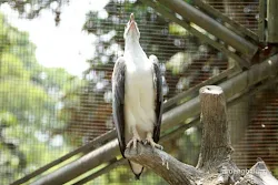 taman burung tmii jakarta