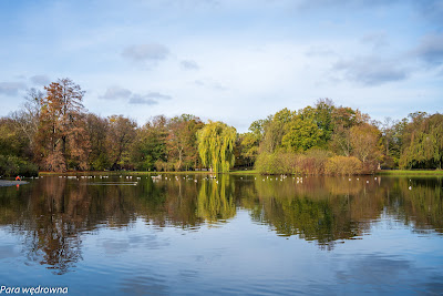 Park Południowy Wrocław