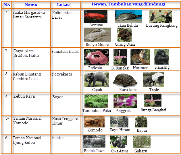Kliping Hewan Dan Tumbuhan Langka Di Indonesia Amat