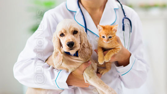 projeto criminaliza exercicio ilegal veterinaria direito projeto criminaliza exercicio ilegal veterinaria direito