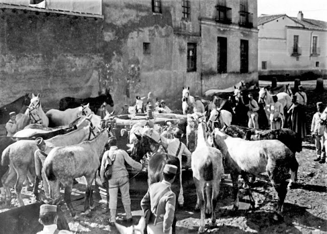 Fotografias-de-Leganes