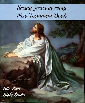 Jesus, New Testament