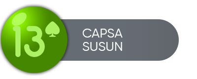 CAPSA SUSUN