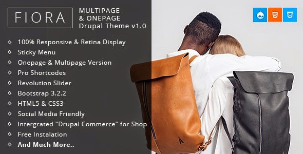 Best New Premium Drupal Theme 2015 Fiora Drupal Theme