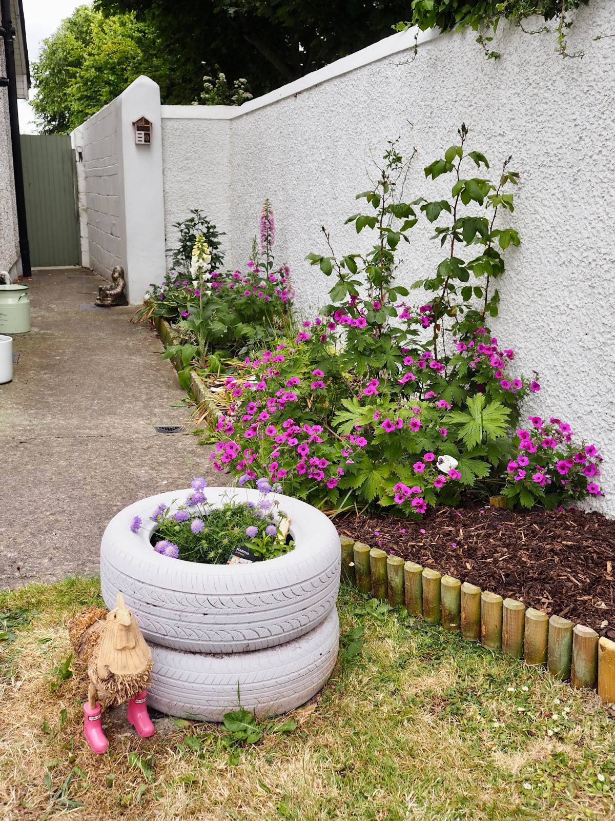 My beginners guide to gardening
