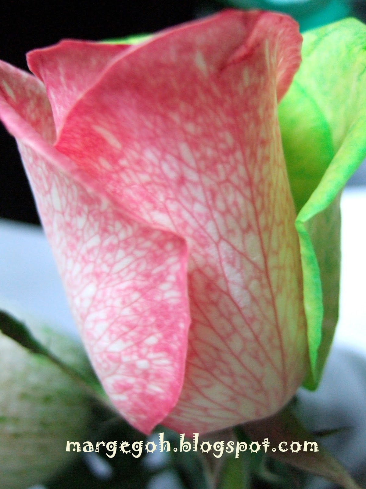 I Love My Style: DIY Bi-Colour Rose
