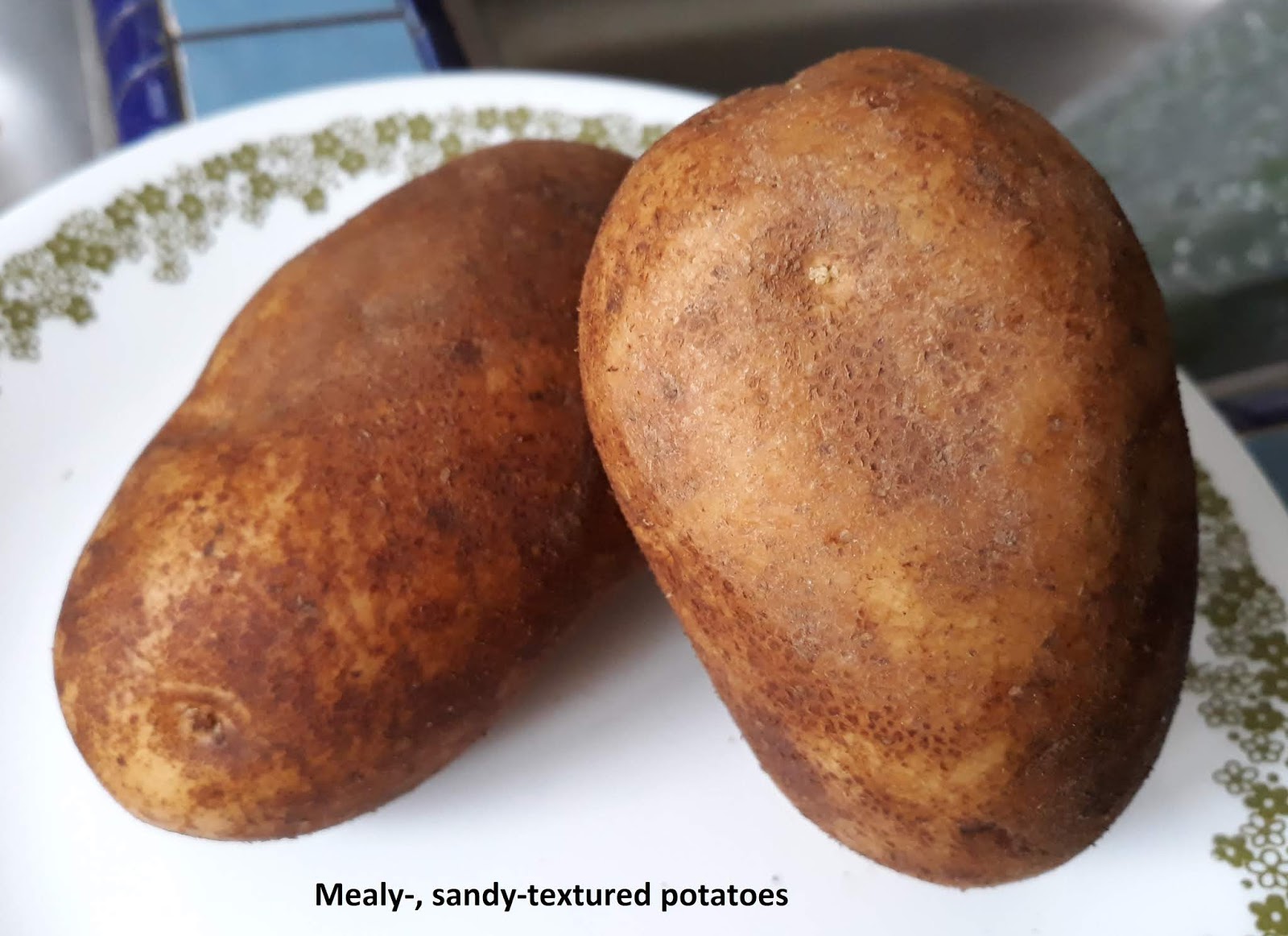 Why potato chips are bad for you and a basic guide to the humble spud