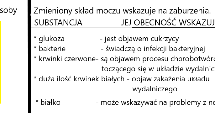 Sprawdzian Z Układu Wydalniczego Puls życia 2 Biologia i Przyroda: KL 7 Choroby układu wydalniczego oraz zasady ich