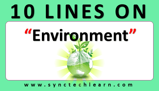10 lines on Environment in English