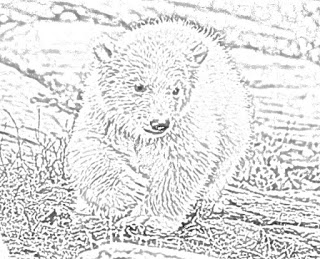 bear coloring pages holiday.filminspector.com