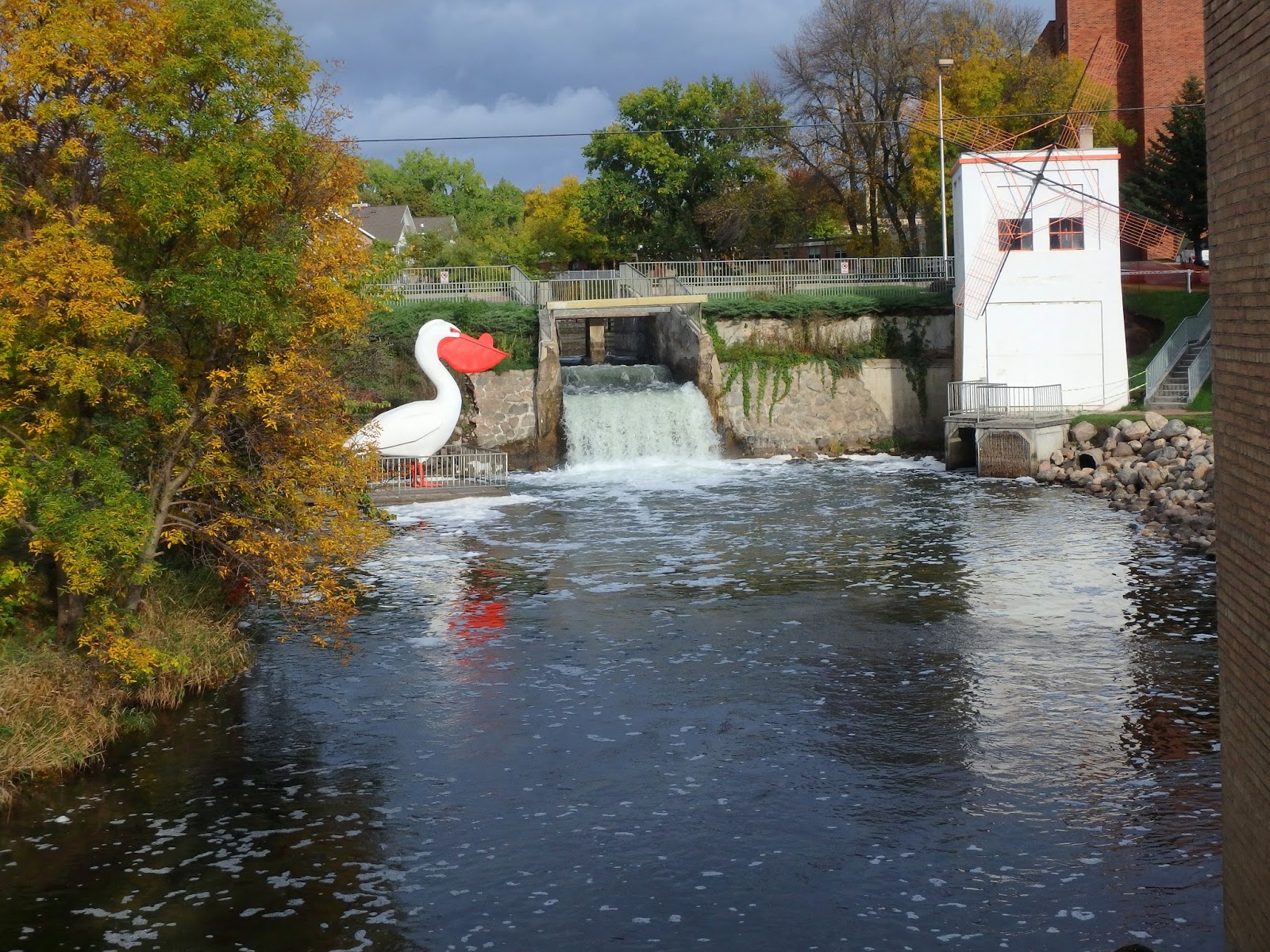 PAMPERED PENGUIN September 2326, 2017 Aberdeen ster, South Dakota