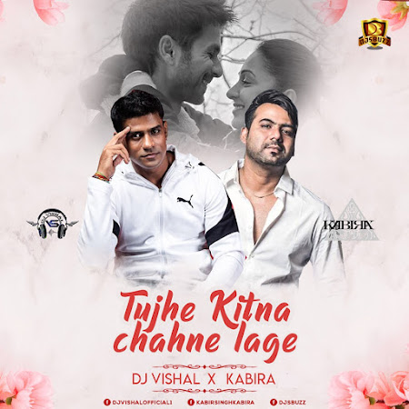 Tujhe Kitna Chahne Lage (Kabir Singh) – DJ Vishal & Kabira