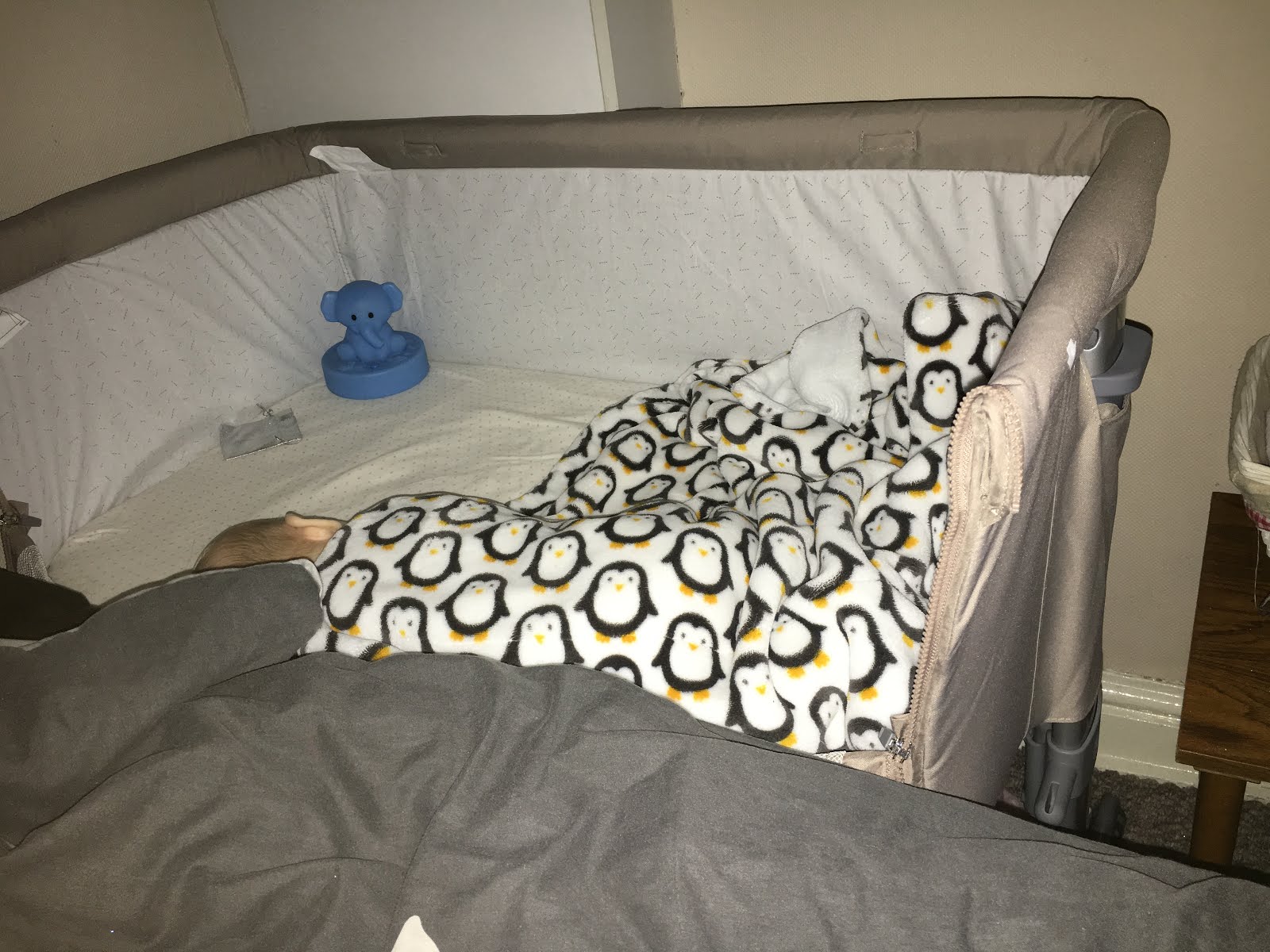 Next to me cot review Living with LaylaRose