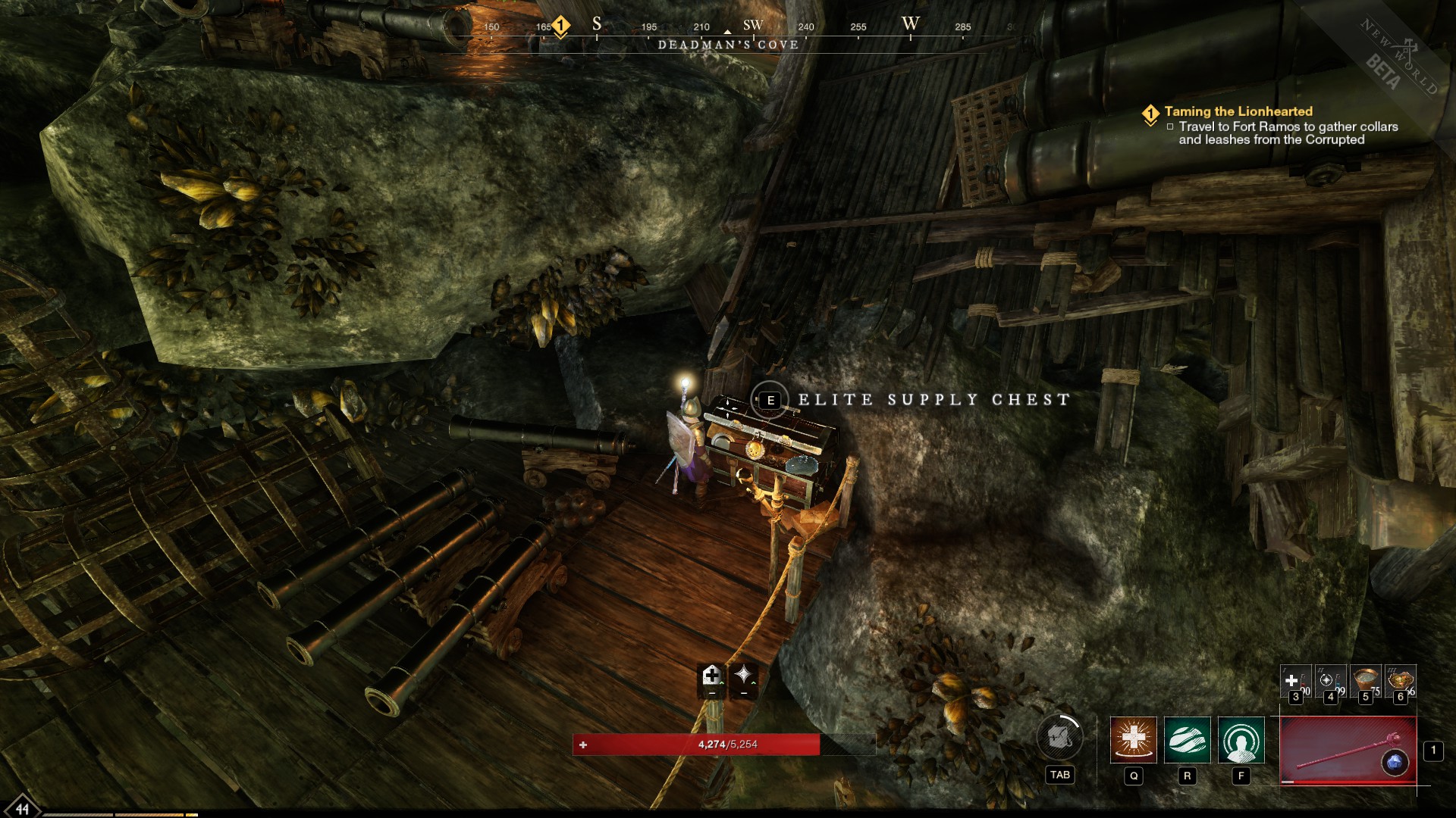 New World Deadman's Cove chest locations