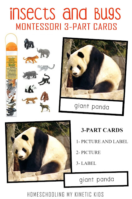 Learn about rare species as you explore and play with Safari Ltd Endangered Land Animals toob.  Free printable matching cards for the toob.