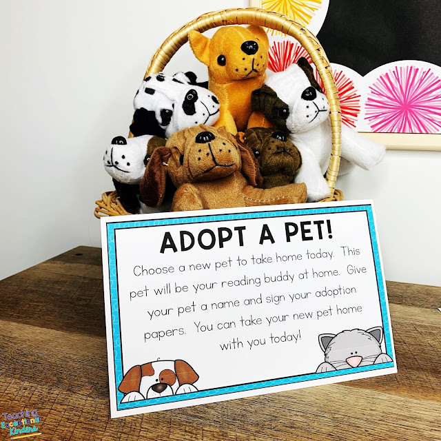 Learn how to set up a pretend adoption center for your students to adopt a reading buddy stuffed animal at kindergarten open house or orientation.  This is a fun way to motivate your kids to want to read!  Your students will love choosing a stuffed animal to read to and take care of.  Setting up this activity can be simple and the impact can be powerful.  Learn how to engage kids and family in reading today!