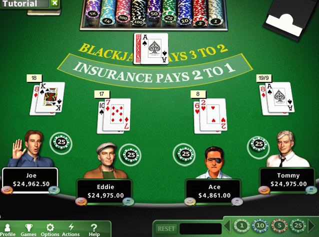 Hoyle Casino Games Download