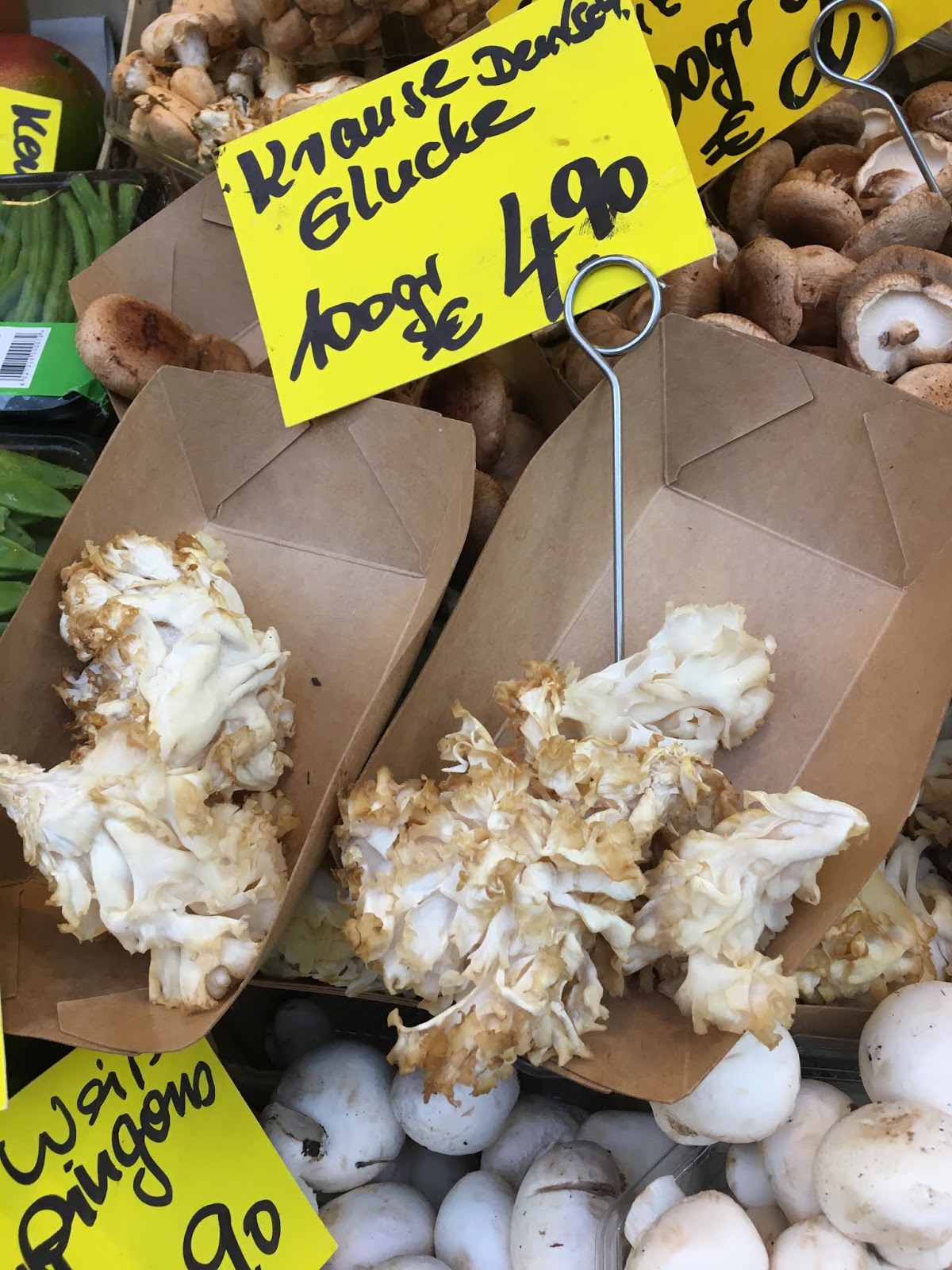 Krause Glucke mit Ei Krause Glucke mit Ei