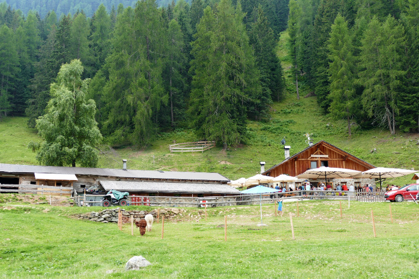 Val di Rabbi 7 cose da