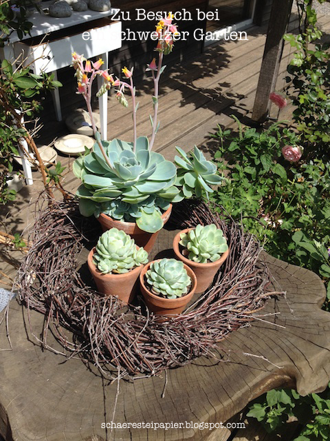 Schaeresteipapier Zu Besuch Bei Carmen Ein Schweizer Garten