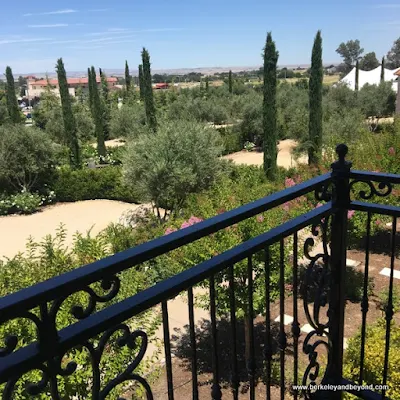 view from guest room balcony at Allegretto Vineyard Resort in Paso Robles, California