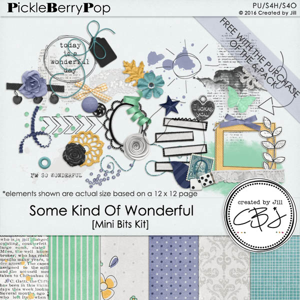 Coupon pickle barrel