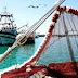 للراغبين قي الإستثمار في مجال الصيد البحري