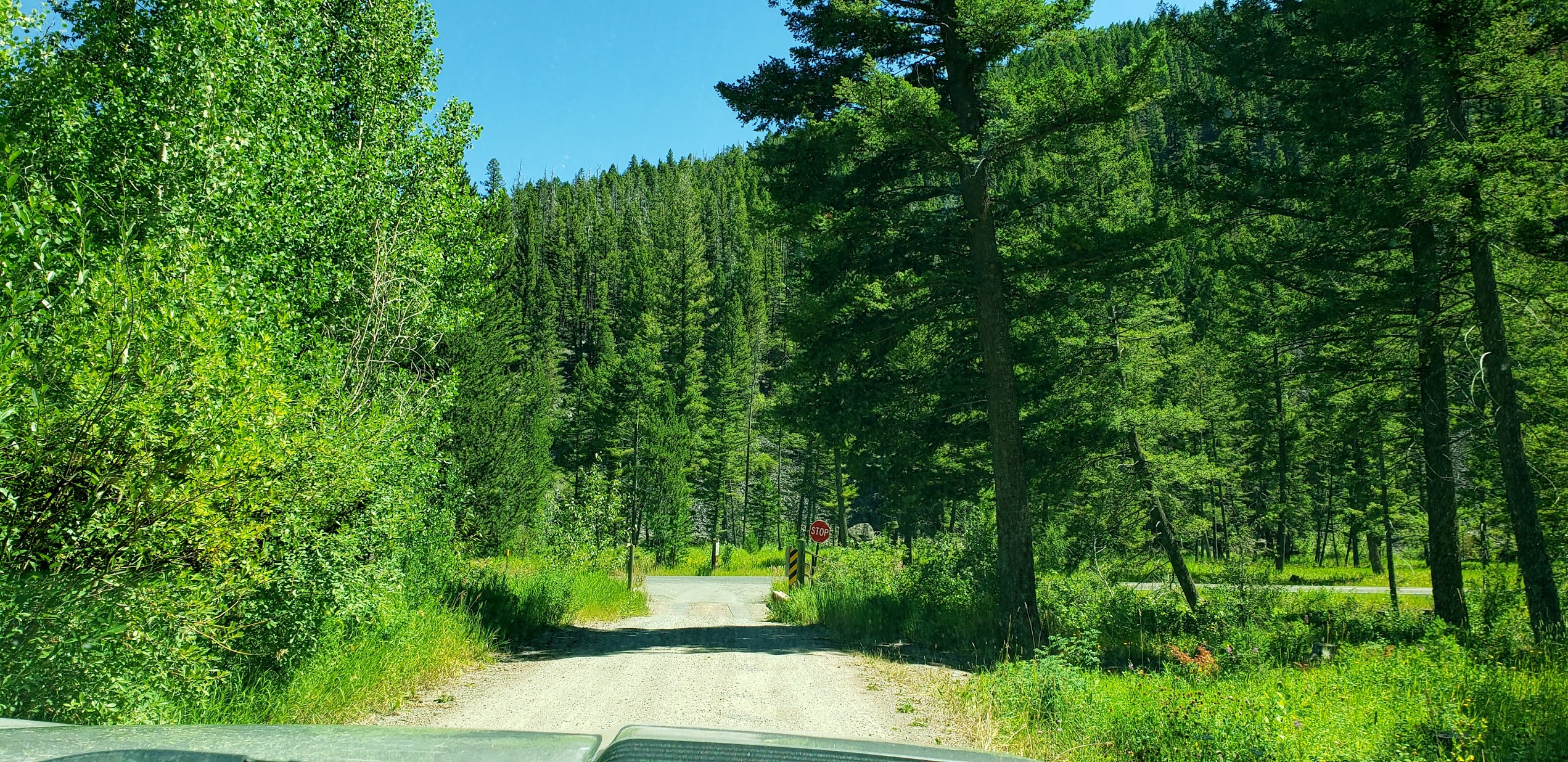 WHERE ARE THE DIXONS TODAY? Moose Creek Campground