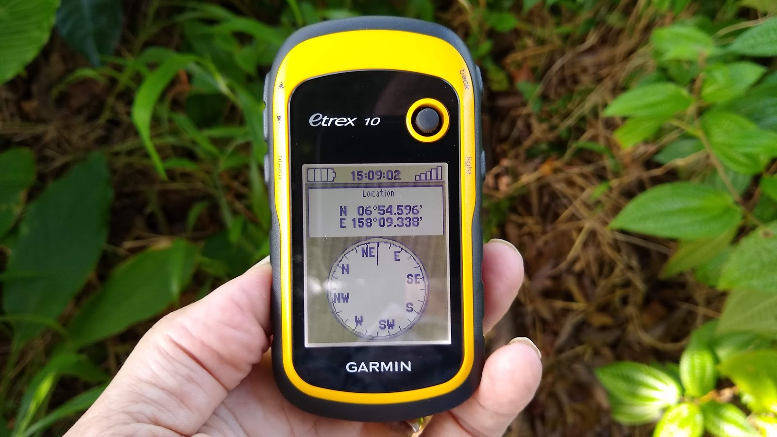 Latitude and Longitude