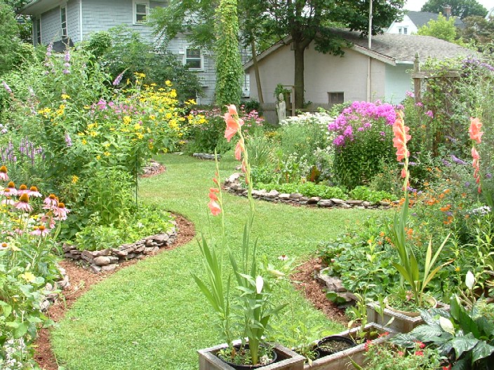 Bird In Everything Backyard Bird Habitat