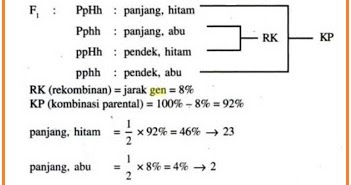 Contoh Soal Nilai Pindah Silang Download File Guru