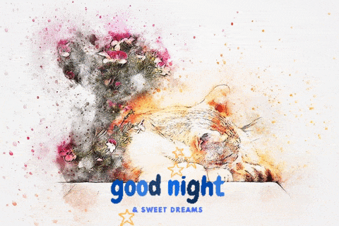 50+ Good Night GIF | Best Sweet Dreams GIFS - Free Download