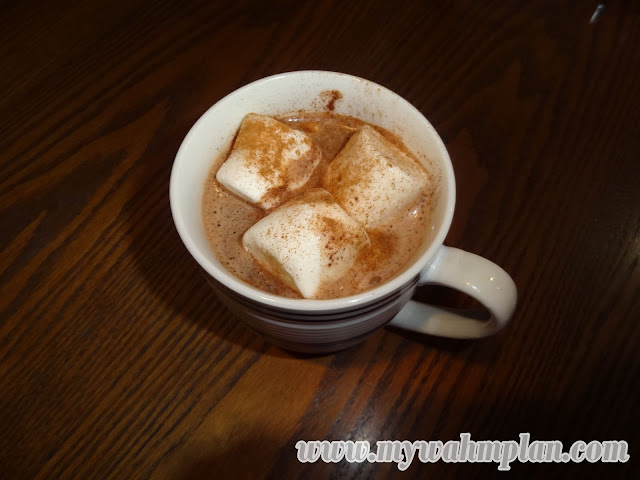 Hot Chocolate with marshmallows and cinnamon