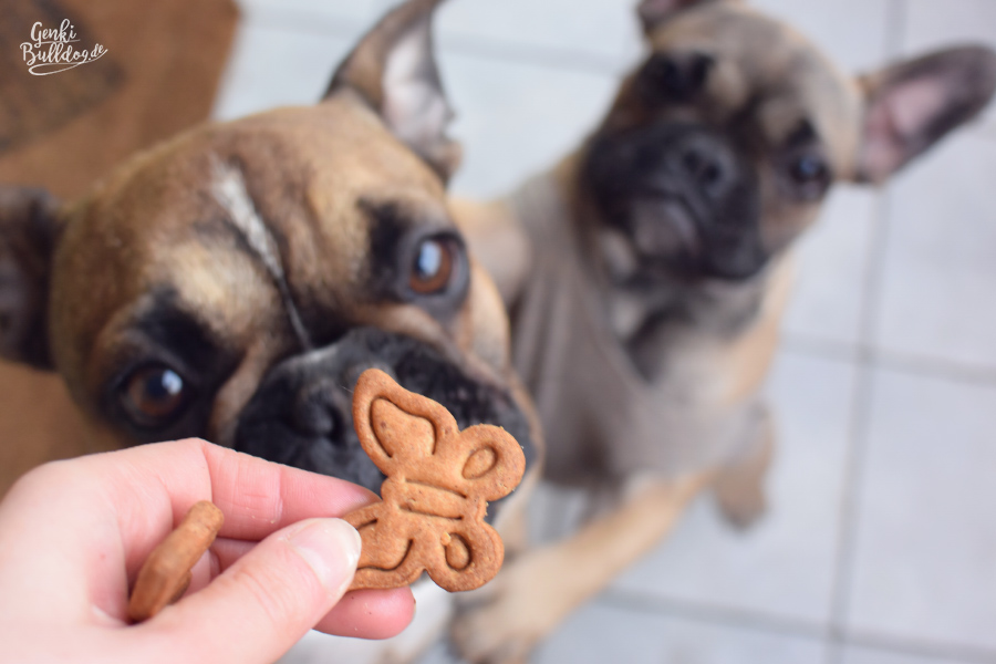 HUNDEBLOG GENKI BULLDOG Rezept Vanille Kekse für HundeHundeblog