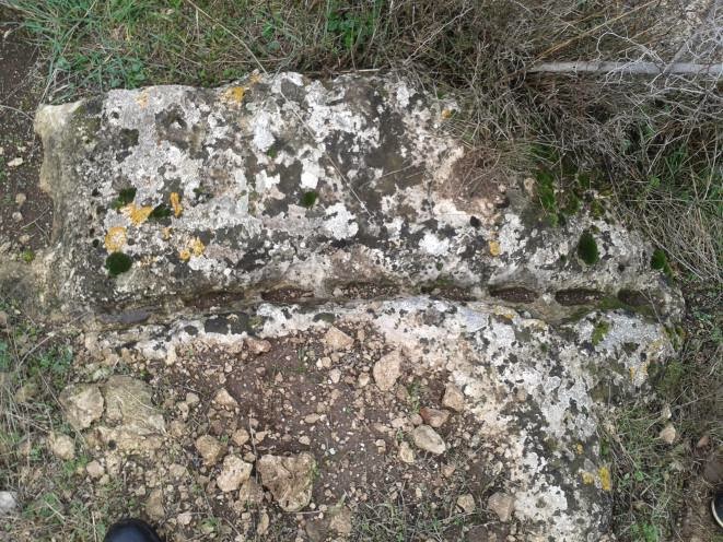 define isaretleri 13 define sohbeti blog