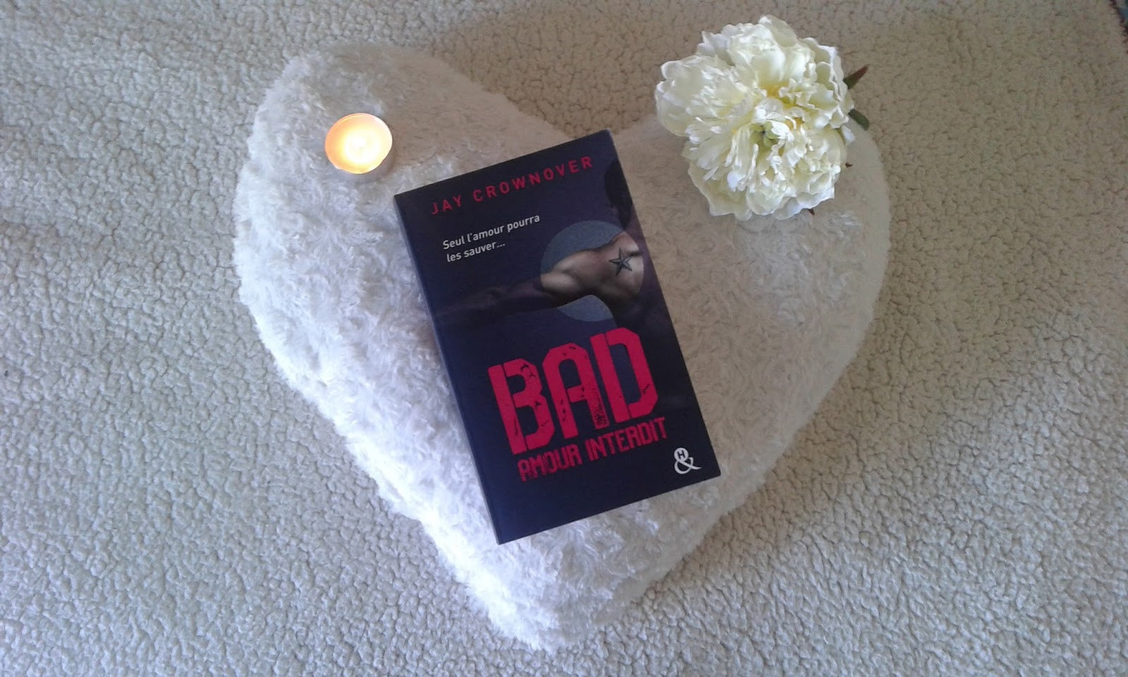 Bad, tome 1 : Amour Interdit - Dream Read Live