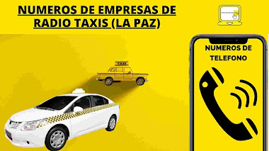 EMPRESAS DE RADIO TAXIS (LA PAZ)