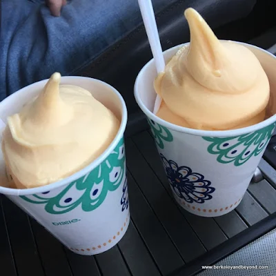 two orange frostees in a cup at Meadowlark Dairy in Pleasanton, California