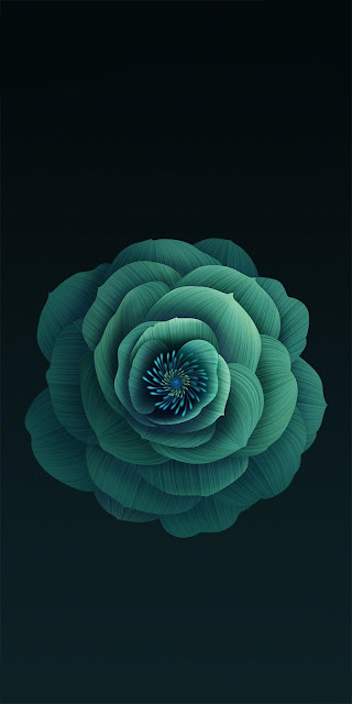 Black wallpaper OLED Flower