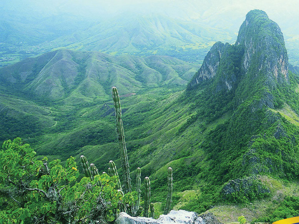Природные зоны венесуэлы и их особенности. Сельва Перу. Национальный парк ранчо-Гранде Венесуэла. Сельва в Венесуэле. Сельва Анды.