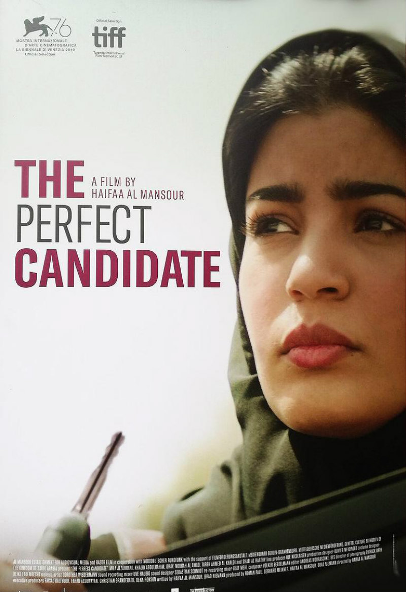 the perfect candidate poster