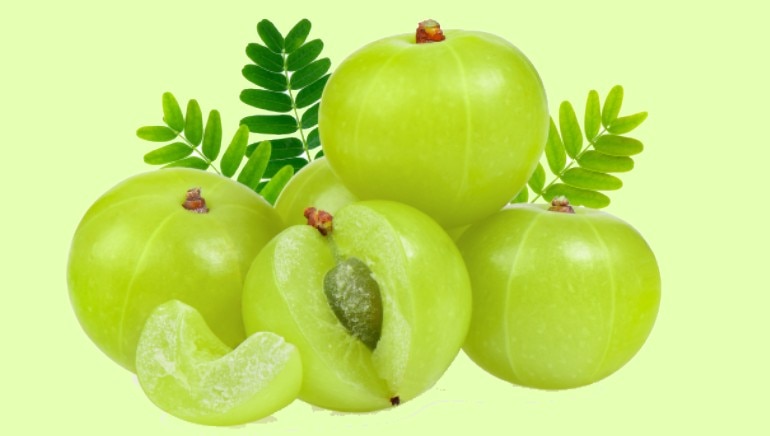 Where Can I Find Amla Fruit Amla - Pharmacognosy