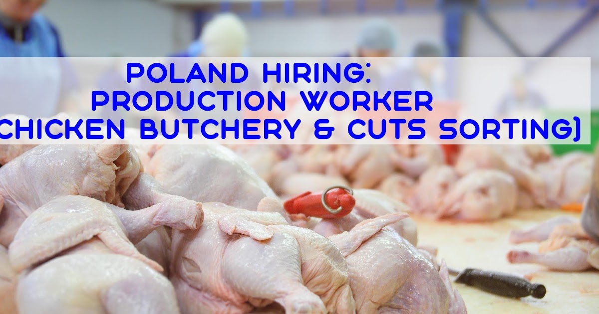 Poland Hiring 50 Production Worker (chicken butchery & cuts sorting